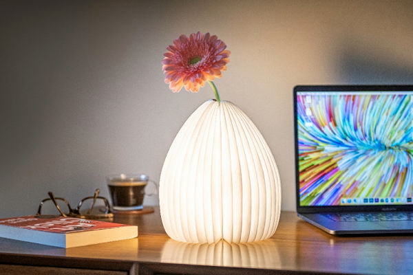 Buy designer vase lamp by Ginko